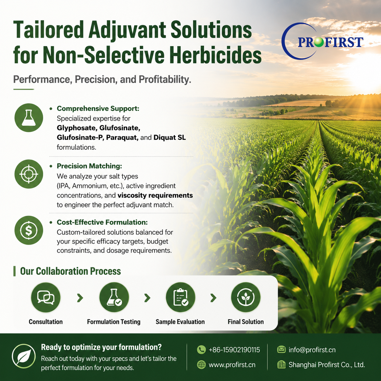 Tailored In-Can Surfactants Solutions for Non-Selective Herbicides